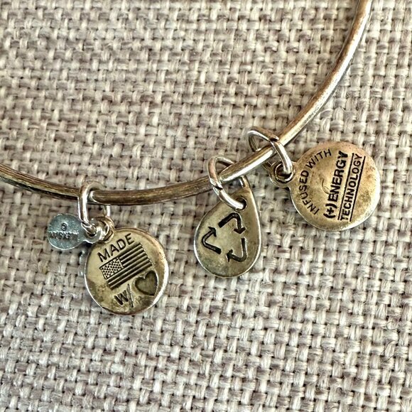 Alex and Ani Claddagh Silver Plated Copper Charm Bangle 2013 Energy Series - Picture 6 of 11